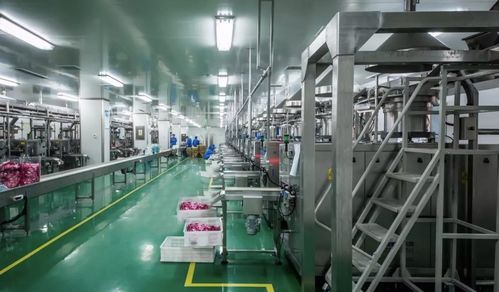 数字化定制工厂 从服装到食品的产业创新